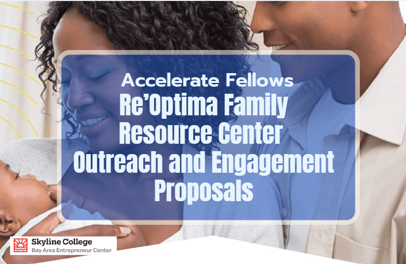 picture of cover of a proposal reoptima